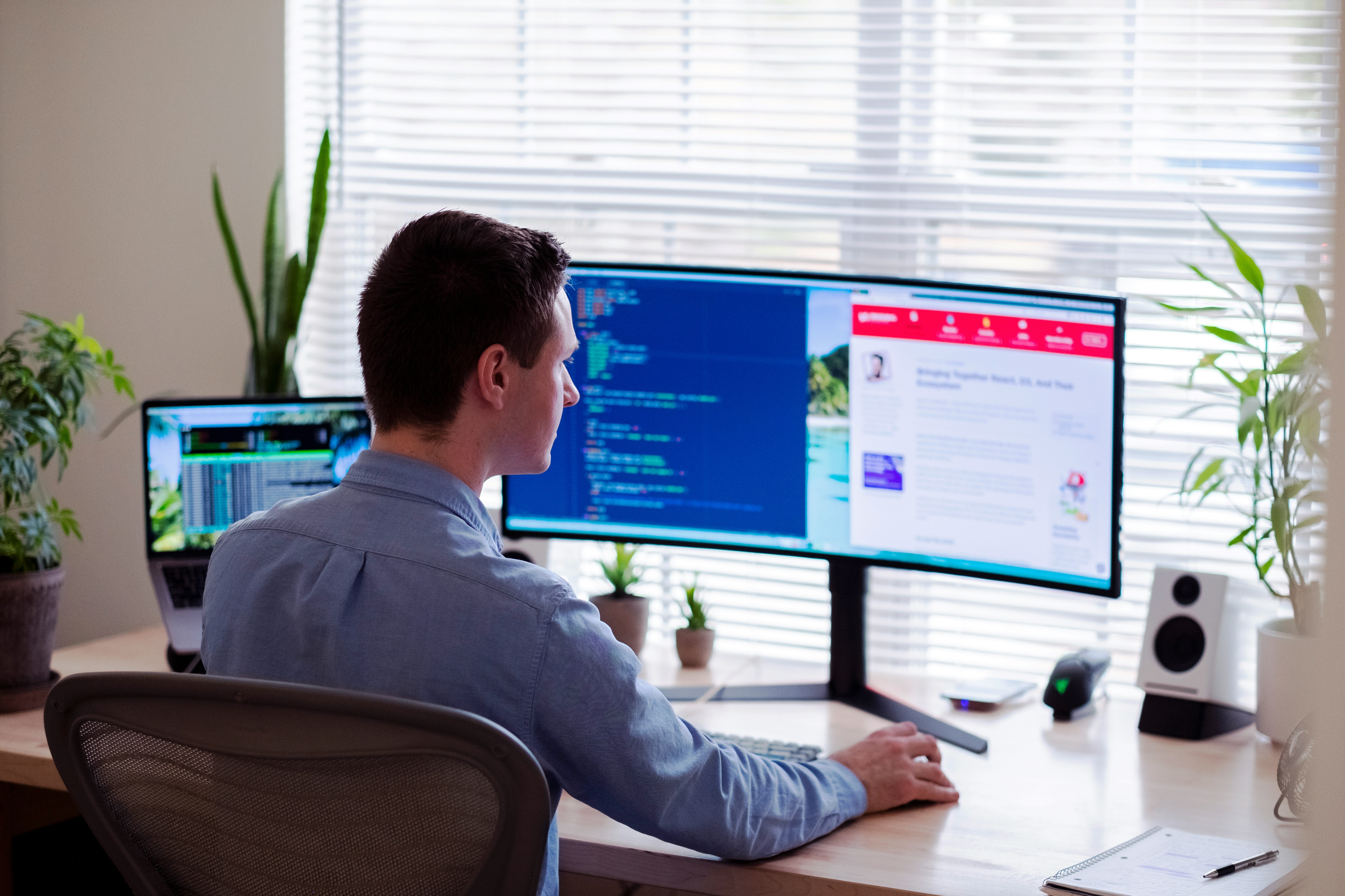 Web Development image 2